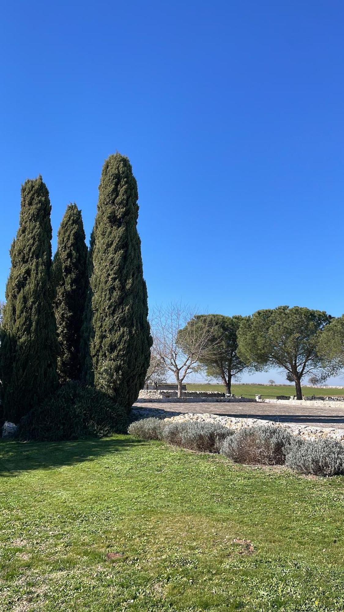 Masseria La Mandra Noci Buitenkant foto